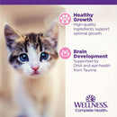 Wellness Complete Health Grain-Free Wet Canned Kitten 5.5oz 24-Count