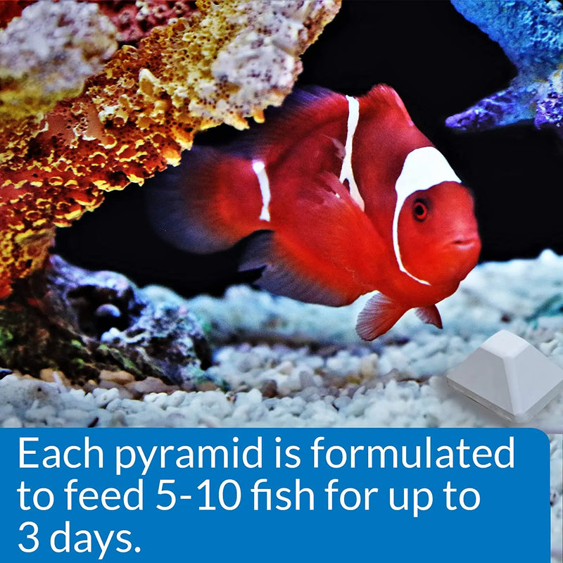 API Weekend 3-Day Pyramid Automatic Fish Feeder 1.4 oz 4-Pack API