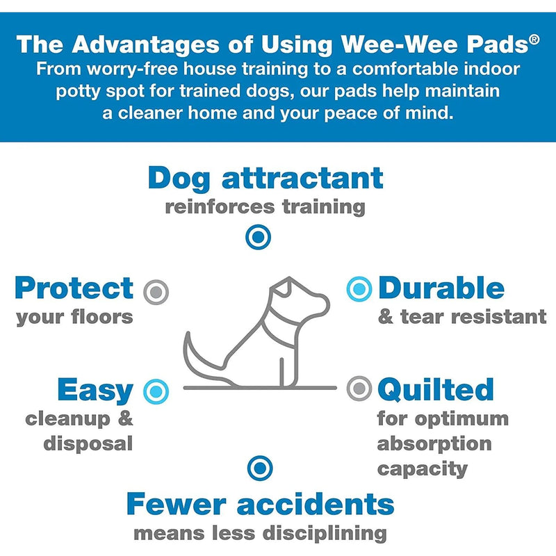 Four Paws Wee-Wee Gigantic Pee Pads for Dogs XXL White 18-Count Four Paws