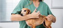 Puppy Vaccine Package 10-13 Weeks $50