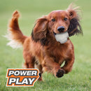 Nylabone Power Play Dog Toys Baseball Gripz Nylabone