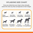 Nylabone Puppy Chew X Bone Toy Beef Flavor Sm/Reg, Up to 15lbs. Nylabone