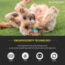 Playology Dual Layer Bone Dog Toy Peanut Butter Scent, Medium PLAYOLOGY