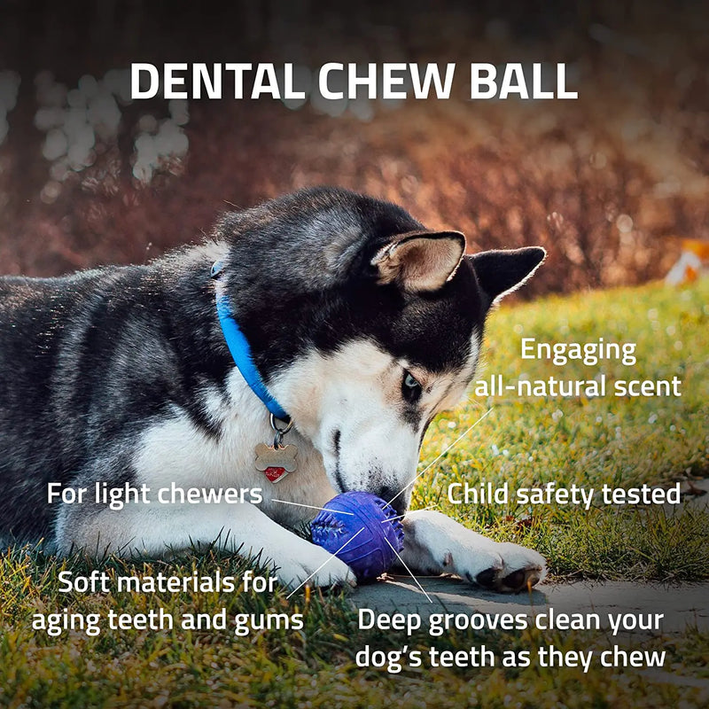 Playology Silver Dental Chew Ball Dog Toy, Medium Senior Dogs PLAYOLOGY