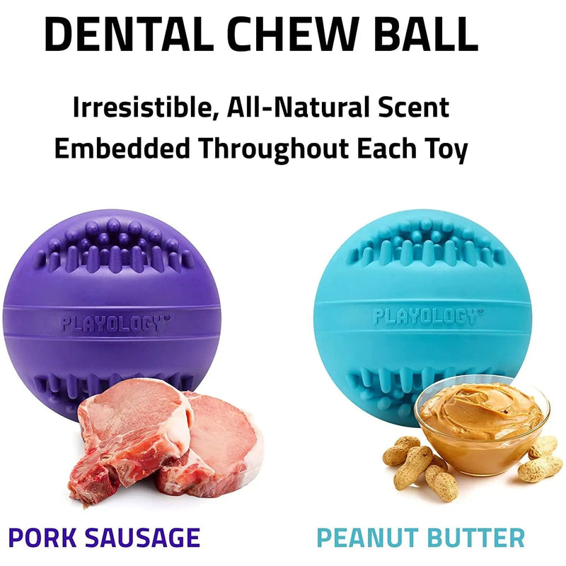 Playology Silver Dental Chew Ball Dog Toy, Medium Senior Dogs PLAYOLOGY