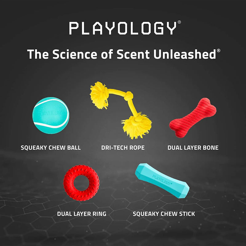 Playology Squeaky Peanut Butter Chew Stick Dog Toys, Medium PLAYOLOGY
