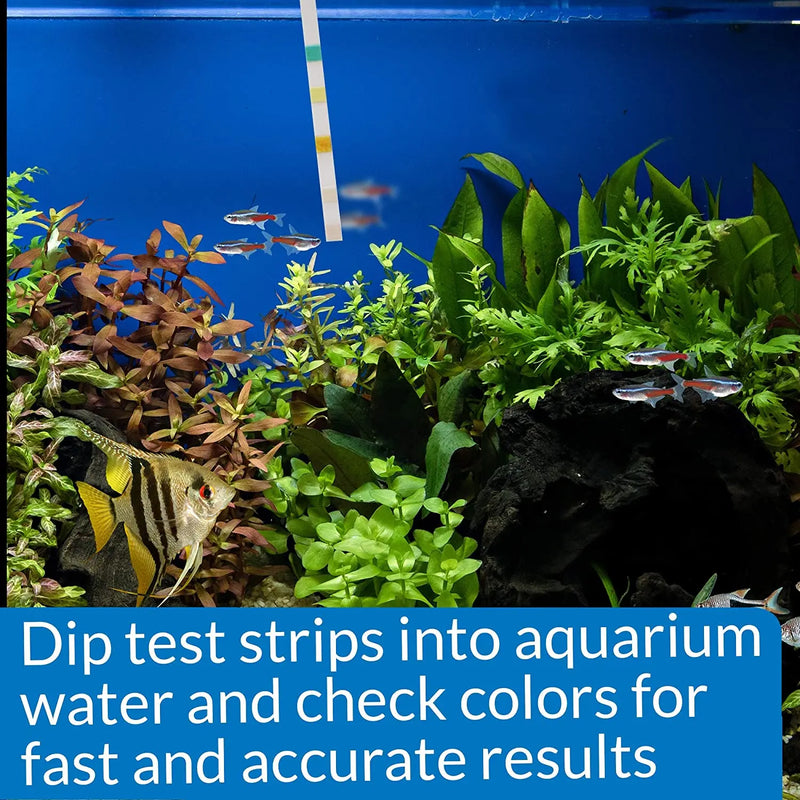 API 5-In-1 Test Strips Freshwater and Saltwater Aquarium Test Strips 100-Count Box API
