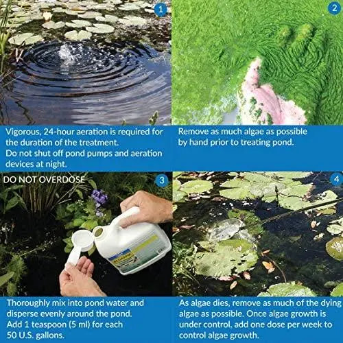 API Pond ALGAEFIX Algae Control Solution 8 oz. Bottle API