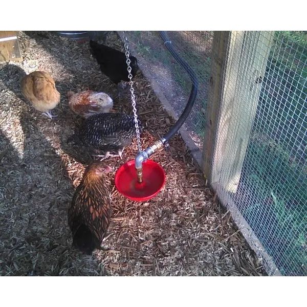 Automatic Poultry Water Fount Little Giant King Size Adult Birds Turkey 2550 Miller