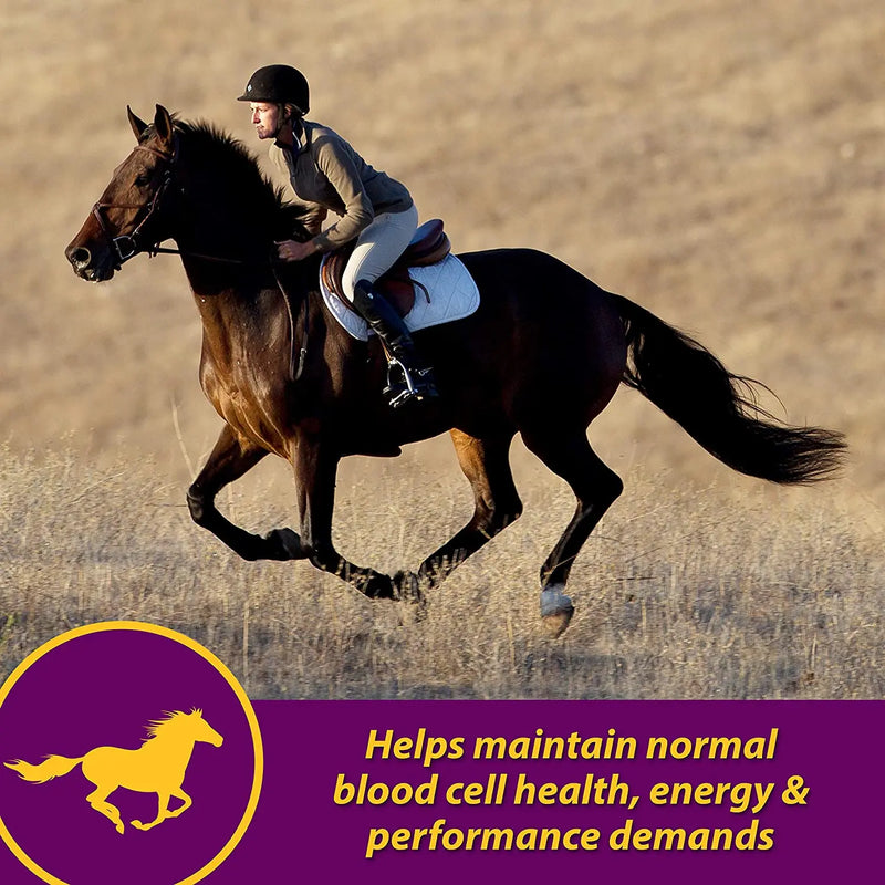 Horse Health Red Cell Vitamin-Iron-Mineral Supplement 32 oz. Horse Health