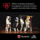 Nutri-Vet Soft Chew Probiotic for Dogs 60CT Nutri-Vet