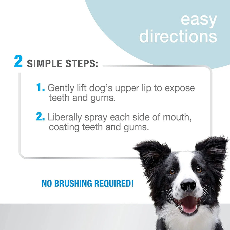 Nylabone Advanced Oral Care Dog Dental Spray with Dental-C 4 oz. Nylabone