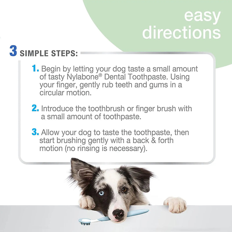 Nylabone Advanced Oral Care Peanut Flavor Dog Toothpaste 2.5oz. Nylabone