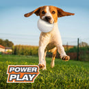 Nylabone Power Play Soccer Gripz Ball Dog Toy, White Medium Nylabone