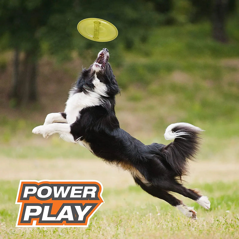 Nylabone Power Play Ultra Glider Gripz Flying Disc Dog Toy, Large Nylabone