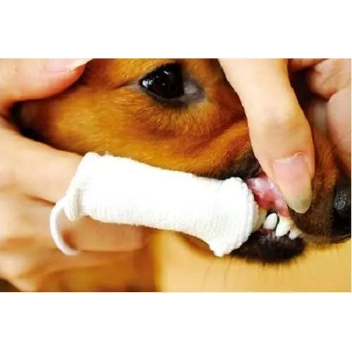 Petosan Dental Kit for Oral Care for Puppies USA Petosan