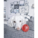 Play Strong Rubber Ball Chew Toy for Dogs Ethical Pets