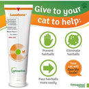 Vetoquinol Laxatone Oral Hairball Lubricant Gel Maple Flavor for Cats 4.25 oz. Vetoquinol