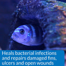 API Melafix Freshwater Fish Bacterial Infection Remedy 8 oz. API