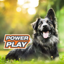 Nylabone Power Play Shake-A-Toss Interactive Dog Toy, Blue/Yellow Nylabone