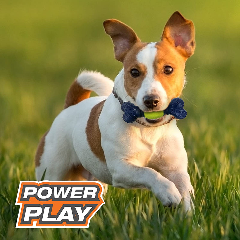 Nylabone Power Play Tennis Play 'N Fetch Interactive Dog Toy Nylabone