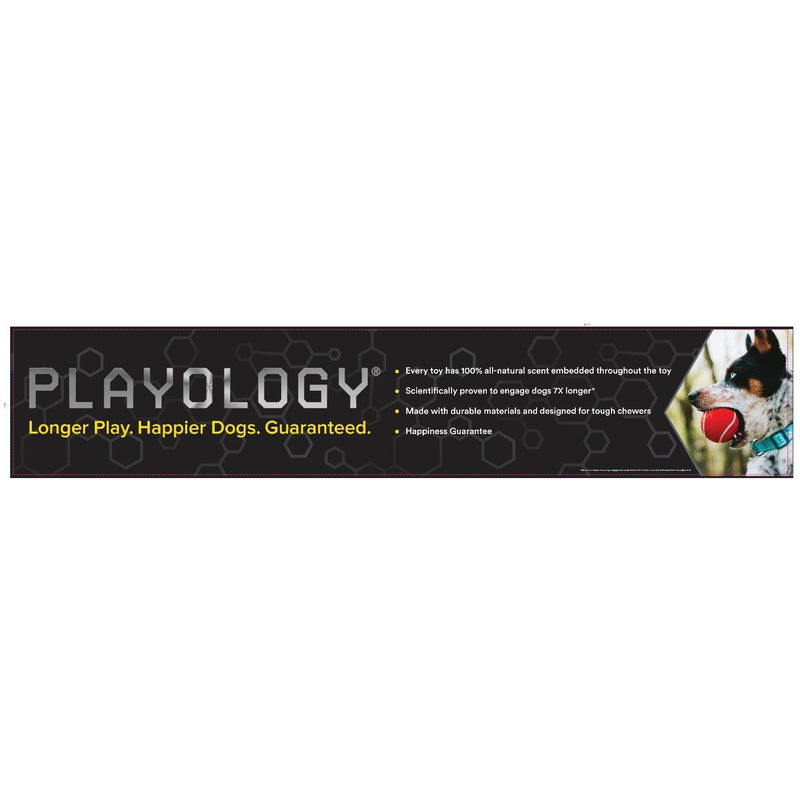 Playology Dual Layer Ring Dog Toy Chicken Scent, Medium PLAYOLOGY