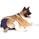 SnuggEase Washable Dog Diaper, XX-Large, 2-Pack Integrated Pet Solutions