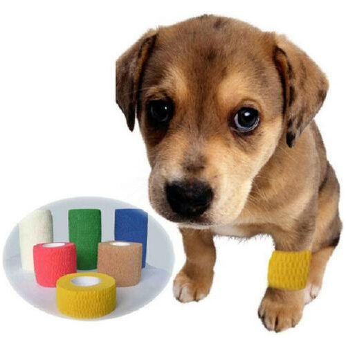 Wrap-It-Up 4" Self Cohesive Flexible Bandages Pets Animals & Humans 18CT, Green Piccardmeds4pets.com